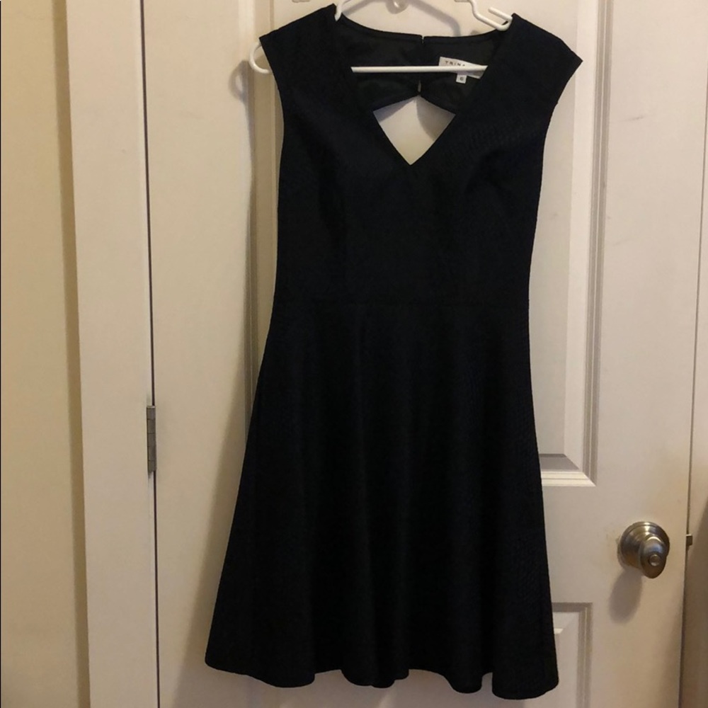 Trina Trunk navy and black A line dress